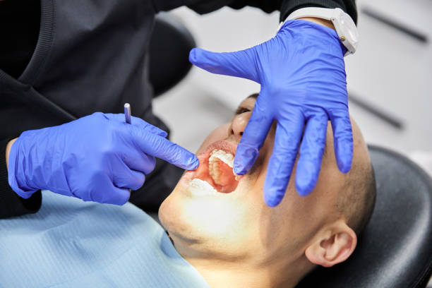 Best Holiday Emergency Dentist in Rogersville, TN