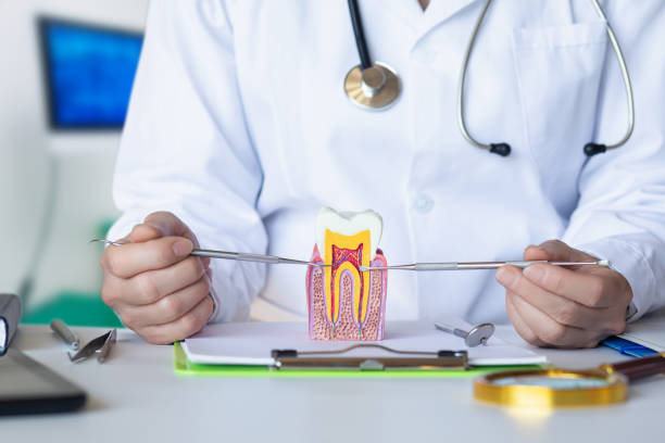 Best Emergency Dental Care for Abscessed Tooth in Rogersville, TN